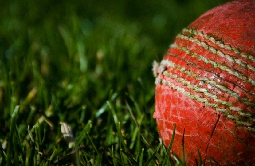 Cricket ball on grass depicting role models for boys