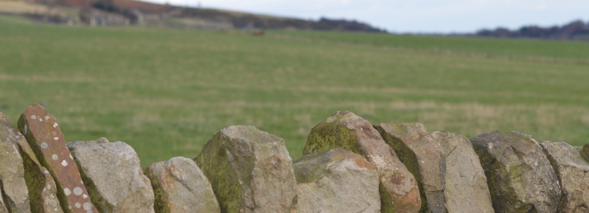 Fields and stone walls around Penistone and Stocksbridge