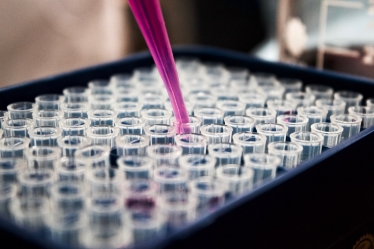 COVID-19 vaccine testing image of glass bottles